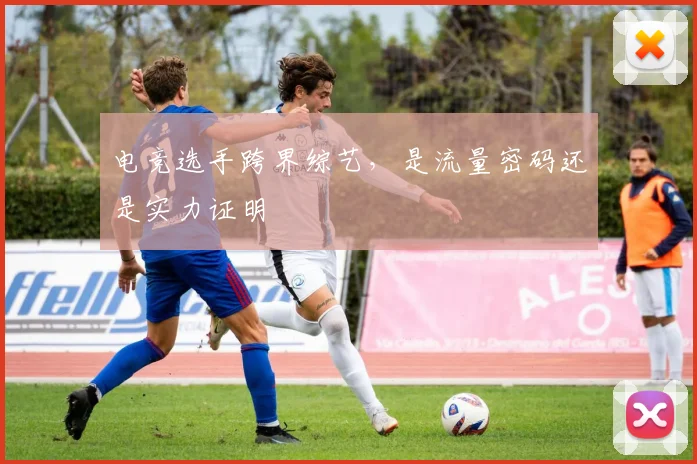 电竞选手跨界综艺，是流量密码还是实力证明